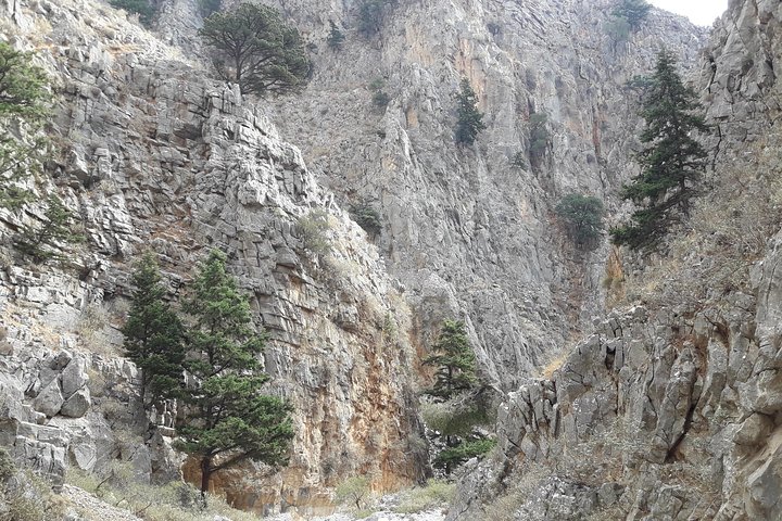 Hike Imbros Gorge and visit Frangokastello Beach or Winery Private Tour - Image 1