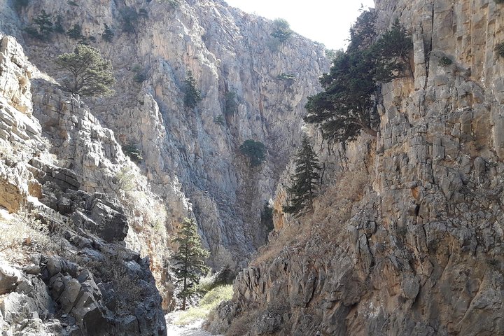 Hike Imbros Gorge and visit Frangokastello Beach Private Tour  - Image 2