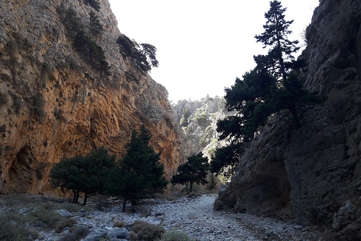 Hike Imbros Gorge and visit Frangokastello Beach Private Tour  - Image 3