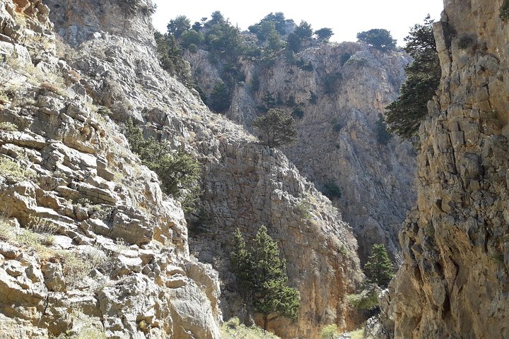 Hike Imbros Gorge and visit Frangokastello Beach Private Tour  - Image 5
