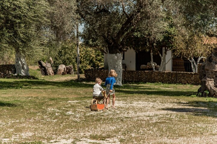Mythical Escape: Cave of Zeus & Knossos Palace with Lassithi Plateau from Chania - Image 4
