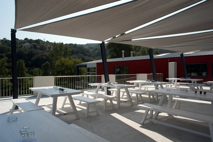 Olive Oil - Wine - Beer Private Tour - Image 4