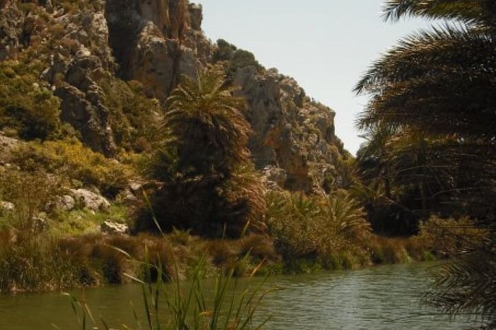 Preveli Palm Beach Tour from Rethymno - by private boat - Image 4