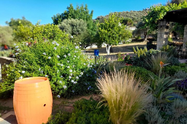 Private Exclusive Manousakis Winery and Vineyard Tour in Chania - Image 3