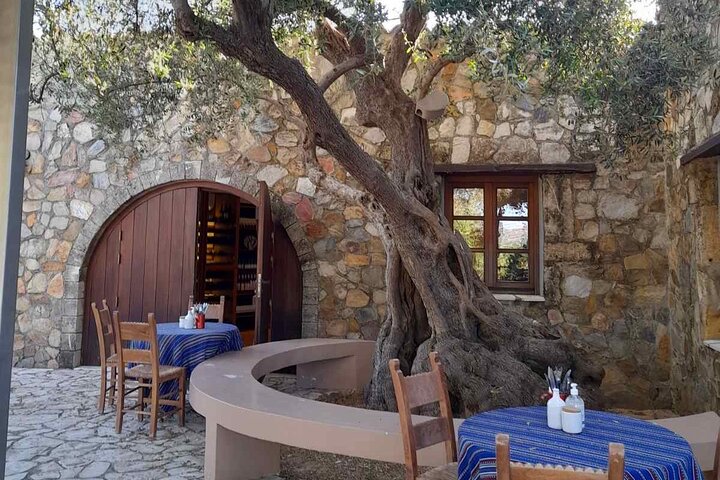 Private Exclusive Manousakis Winery and Vineyard Tour in Chania - Image 4