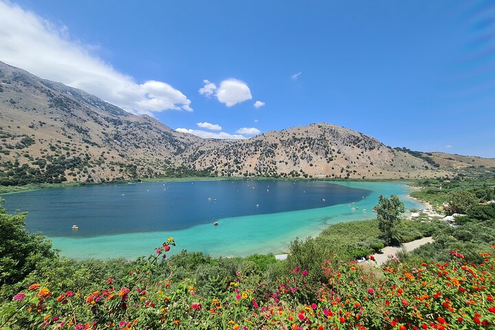 Private half day Wine and Olive oil tasting-Kournas lake - Image 1