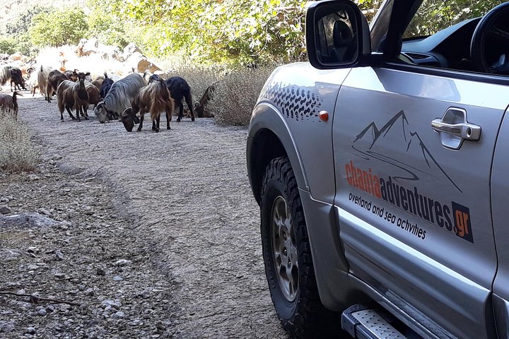 Private - Jeep Safari Tour with Lunch and Tastings - Image 1