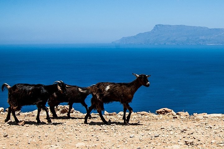 PRIVATE TOUR by 4x4 to Balos lagoon and Falassarna beach - Image 3