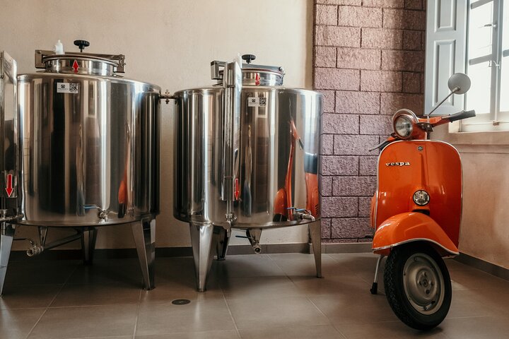 Santorini in a bottle: Craft beer, Wine and Ouzo tasting  - Image 4