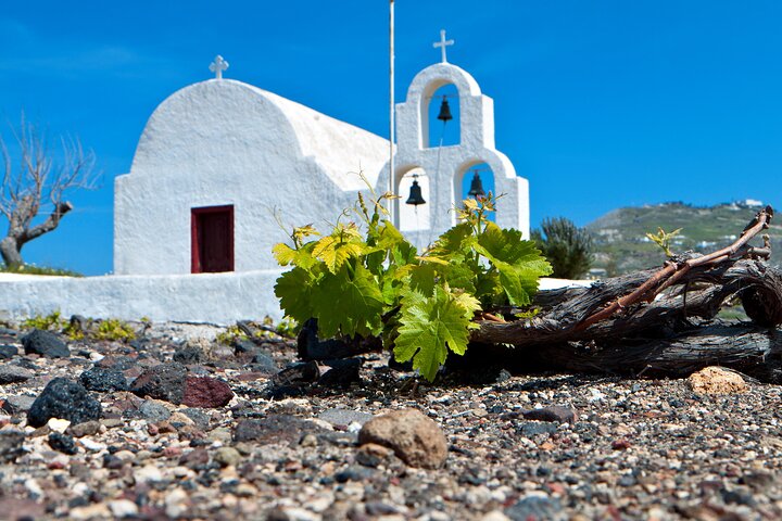 Santorini Wine Tasting Tour  - Image 4