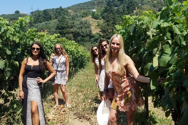 Semi-Private Full Day Wine, Olive Oil, and Cultural Tour  - Image 1
