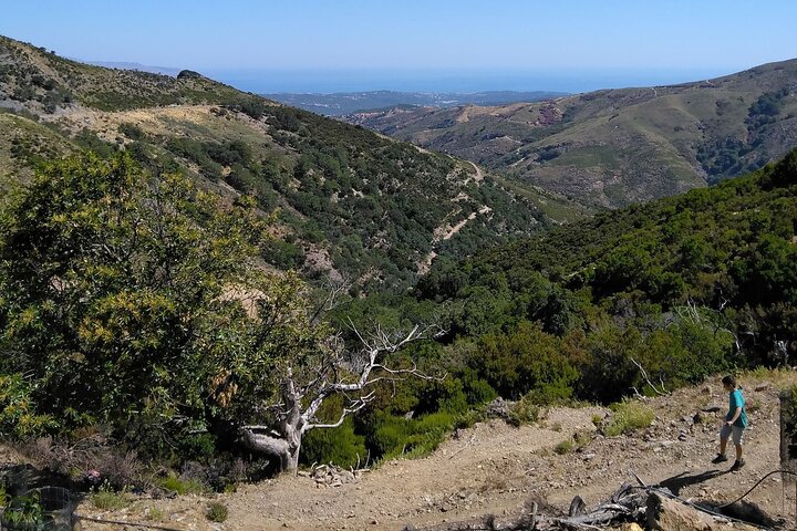 Van Tour on the Countryside of Chania - Image 4