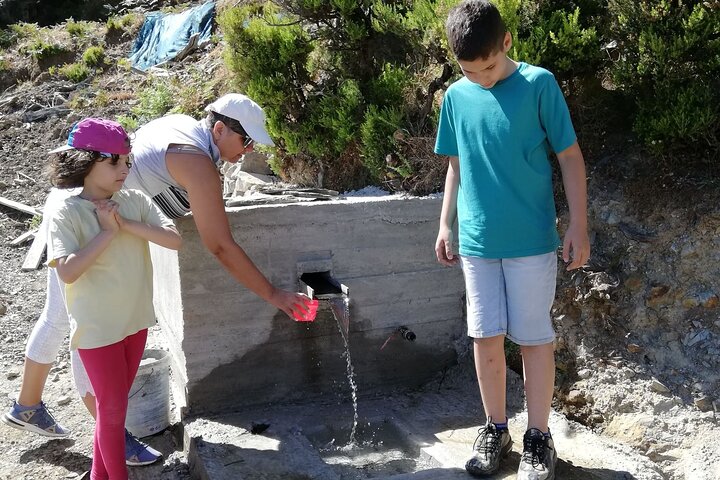 Van Tour on the Countryside of Chania - Image 5