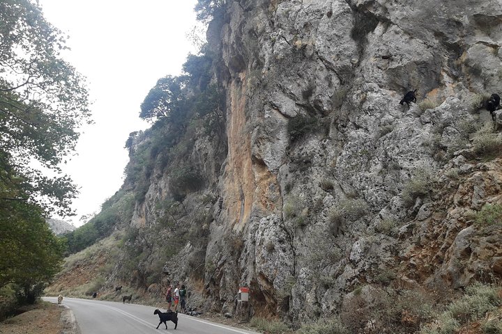 West Crete Nature and Landscape Private Tour with Lunch - Image 5