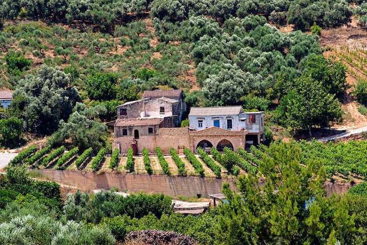 Wine & Olive Oil tasting one day private tour in Crete - Image 2