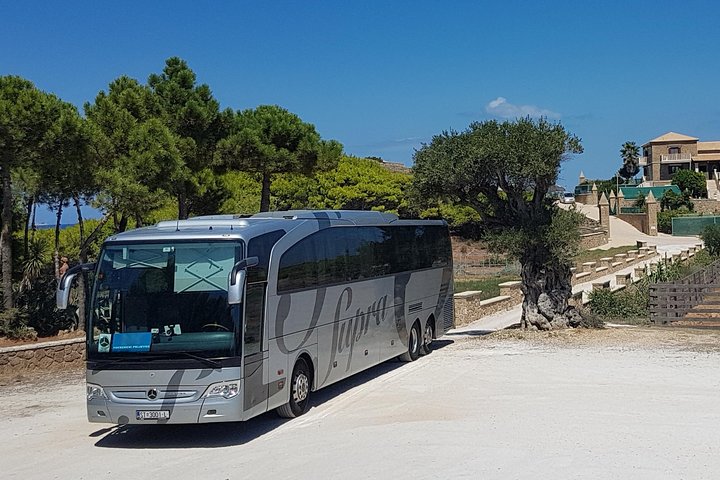Bus / Coach excursion - Image 1