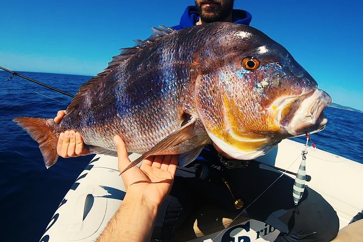 FISHING TOUR to Brac and Solta island - half day fishing experience - Image 1