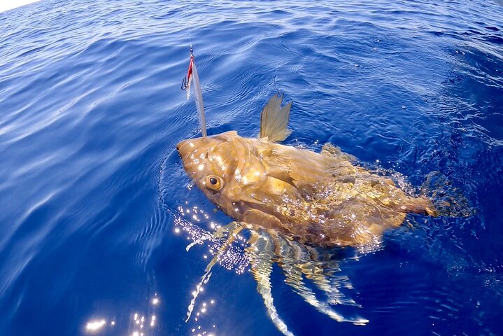 FISHING TOUR to Brac and Solta island - half day fishing experience - Image 4