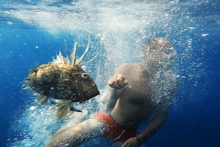 FISHING Tour to VIS and BIŠEVO Islands - Full Day Experience - Image 5