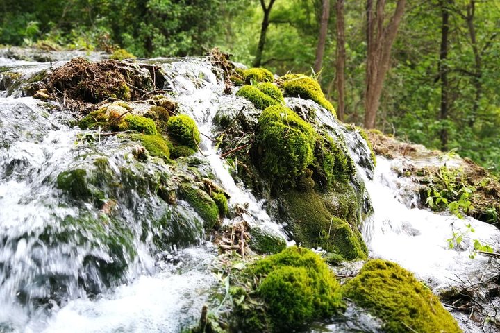 NP Krka waterfalls & Wine tasting - Private day tour from Split - Image 2