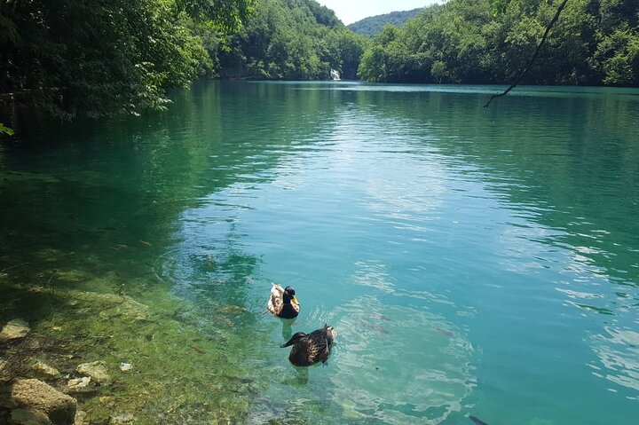 Plitvice Lakes Small Group Tour Ecco from Split or Trogir  - Image 5
