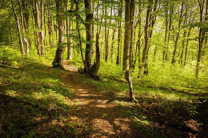 Plitvice Lakes Tour from Split with Entrance Ticket included - Image 4