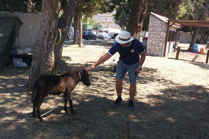 Private Krka waterfalls and Trogir Tour  - Image 2