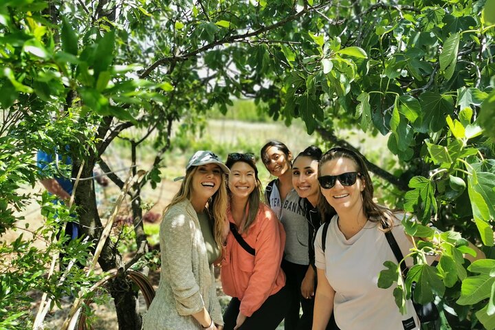 Private tour to Krka waterfalls- Lunch included - Image 4
