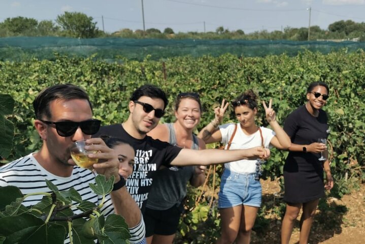 Private tour to Krka waterfalls- Lunch included - Image 5