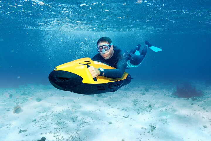 SeaBob Rental - Image 4