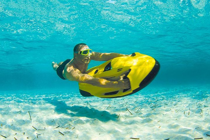 SeaBob Rental - Image 2