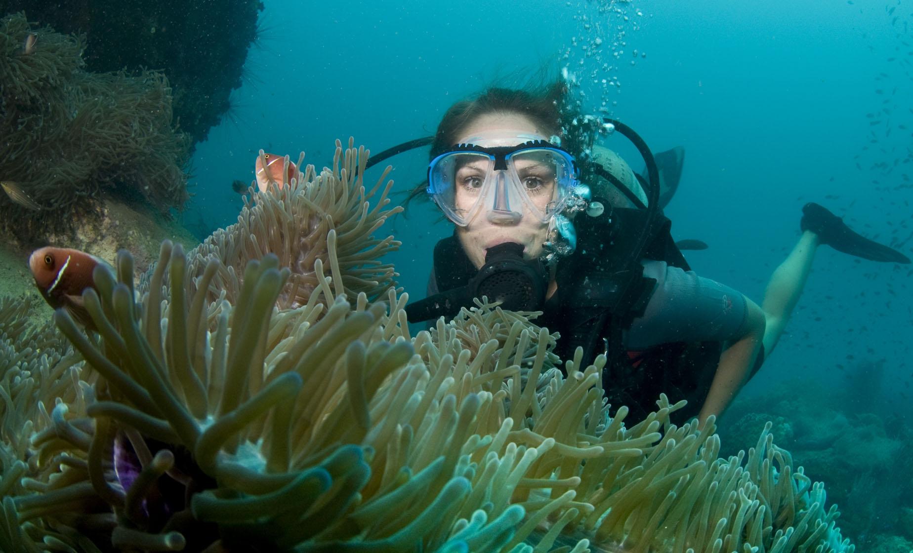 Certified Grenada Two Tank Dive - Image 1