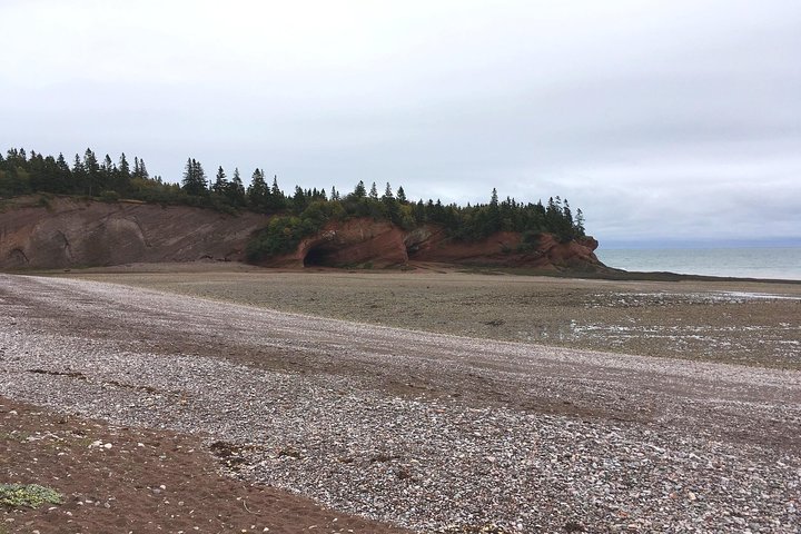 Bay of Fundy Tour by Bus - Image 5