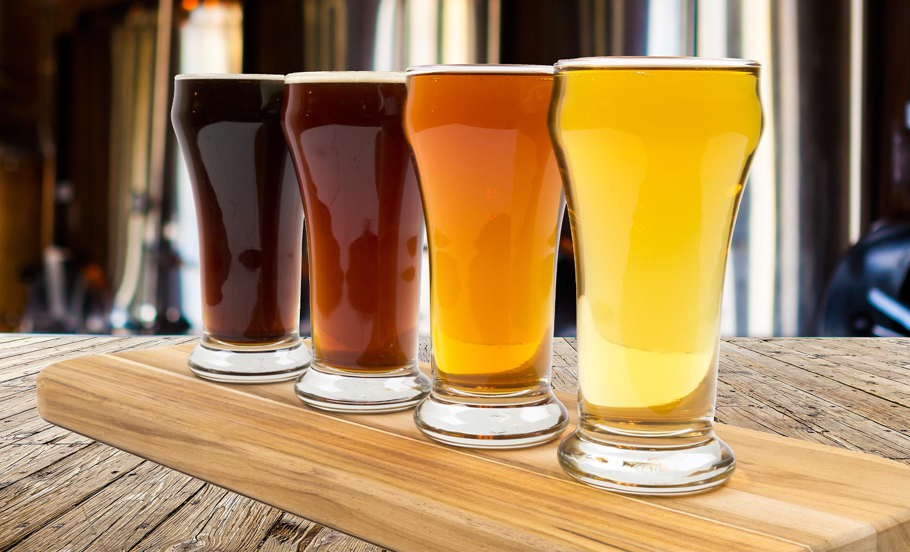 Fundy Coast and Craft Brewery Tour - Image 1