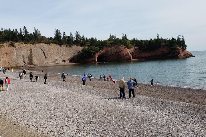 Fundy Coast to Fundy Shore Tour - Image 4