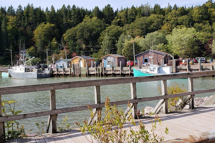 Fundy Coast to Fundy Shore Tour - Image 5
