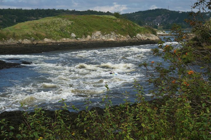 Fundy Coast to Fundy Shore Tour - Image 2