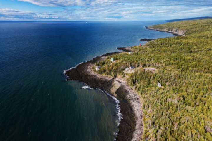 New Brunswick Shore Excursion: Bay of Fundy and More Highlights Tour - Image 4