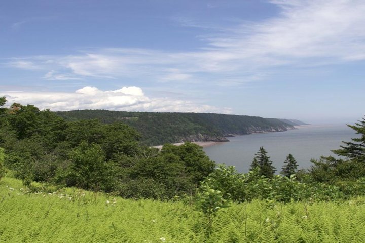 New Brunswick Shore Excursion: Bay of Fundy and More Highlights Tour - Image 3