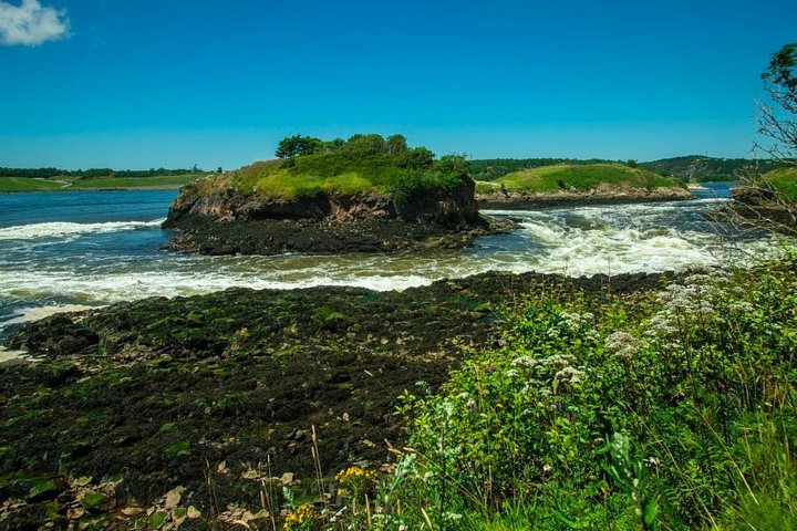 New Brunswick Shore Excursion: Bay of Fundy and More Highlights Tour - Image 5