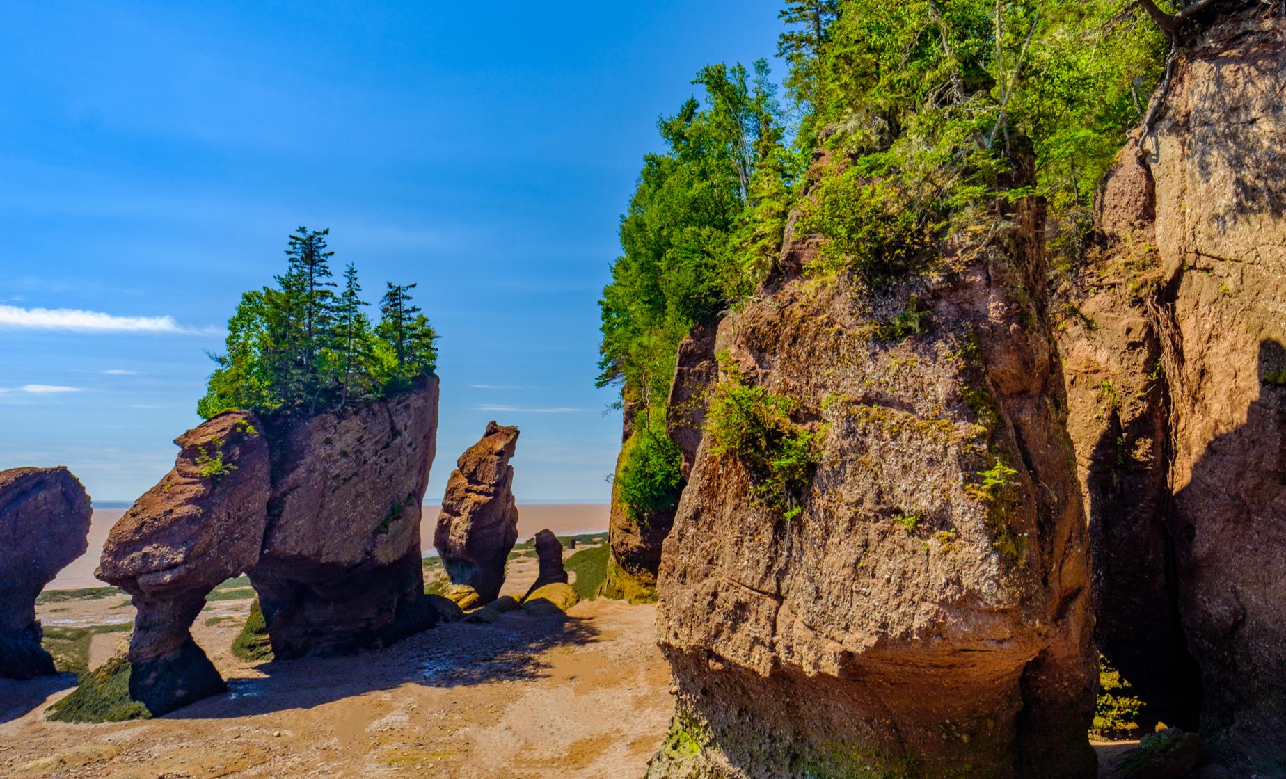 Private Top 10 Highlights and Bay of Fundy - Image 1