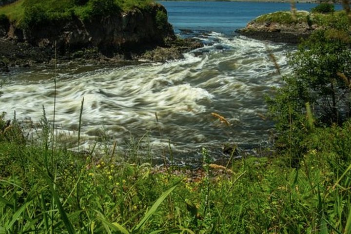 Shore Excursion:Saint John History Walking Tour - Image 5