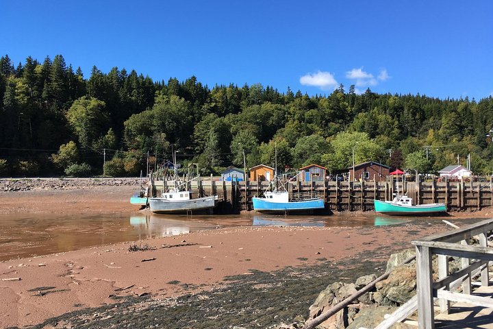 Shore Tours - Image 1