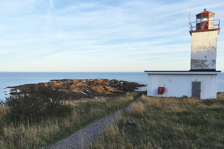 Shore Tours - Image 5