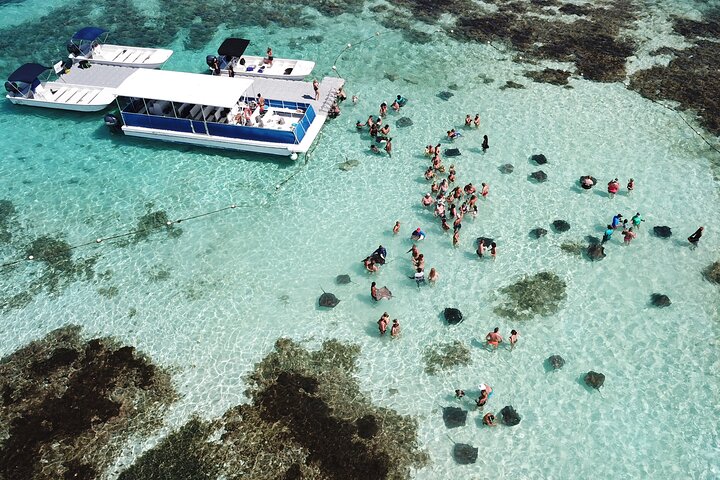 3-Hour Snorkeling Activity in Stingray City - Image 3