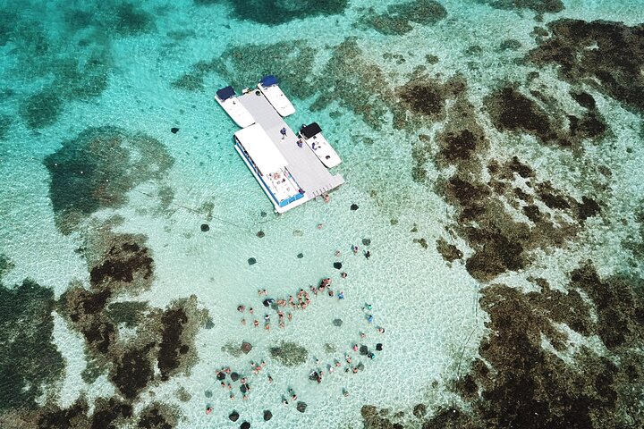 3-Hour Snorkeling Activity in Stingray City - Image 1