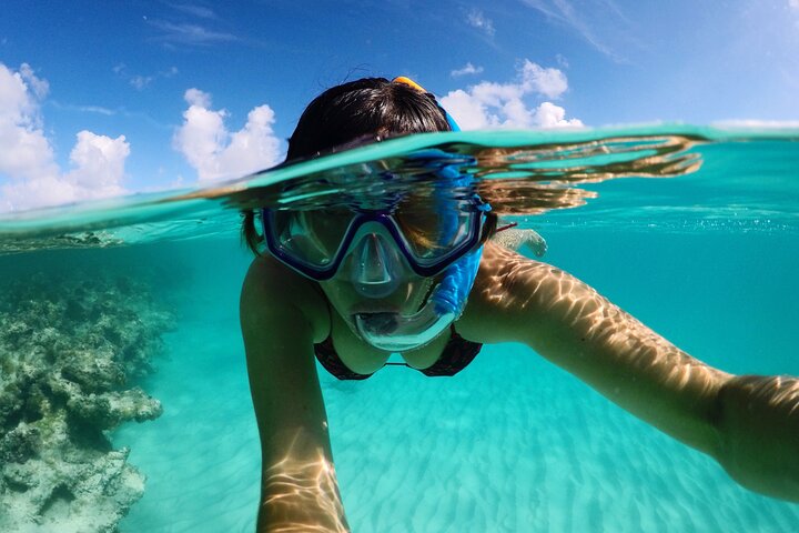 3-Hour Snorkeling Activity in Stingray City - Image 2