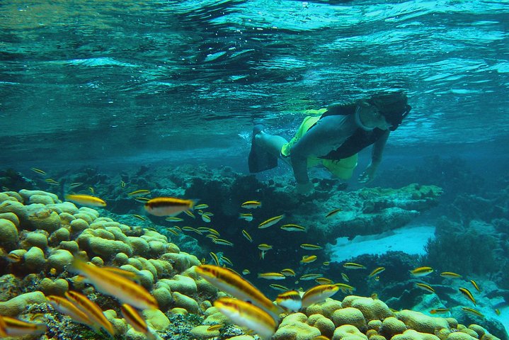 Adventure Antigua - Eli's Original Eco Tour - Image 3