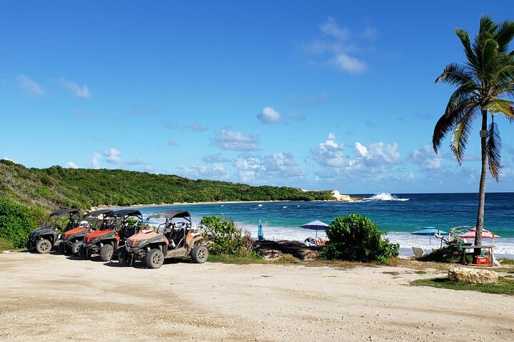 Antigua Trailz All Inclusive Buggy Tour - Image 1