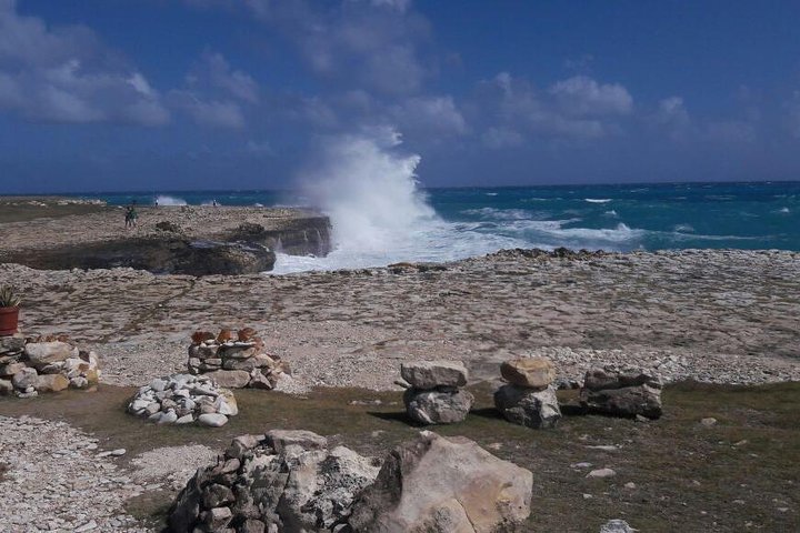 Antigua VIP Tours - Platinum Group Tour  - Image 1